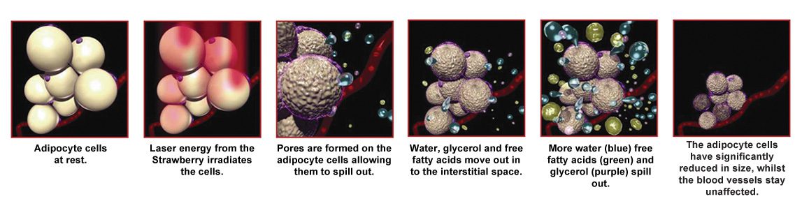 How It Works Starwberry Lipo